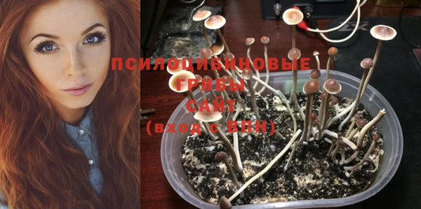 альфа пвп Баксан