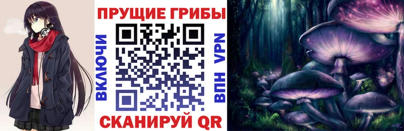 Купить где  Верхнеуральск  Галлюциногенные грибы MAGIC MUSHROOMS 